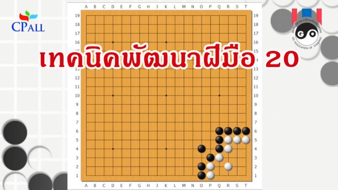 เทคนิคพัฒนาฝีมือ 20